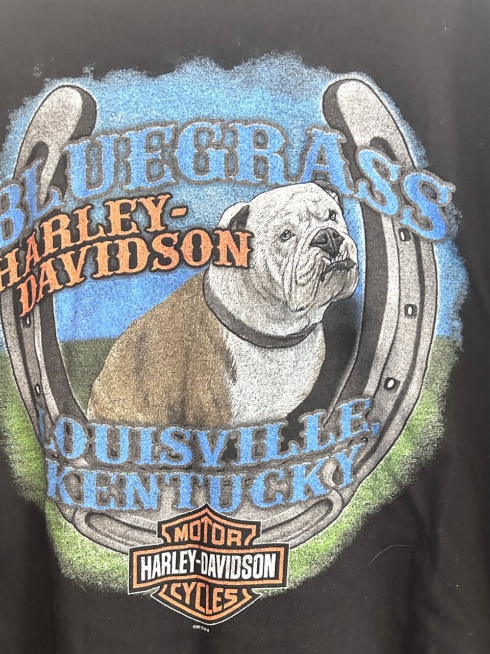 Harley-Davidson Black Graphic T-Shirt, SZ 2XL - Picture 4 of 5